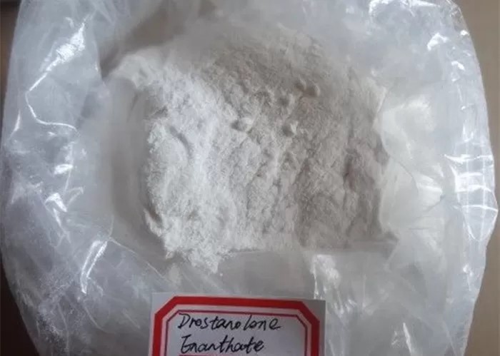 Drostanolone Enanthate (Masteron E)8