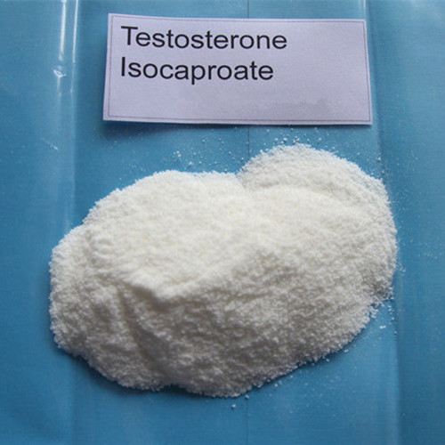 Testosterone Isocaproate