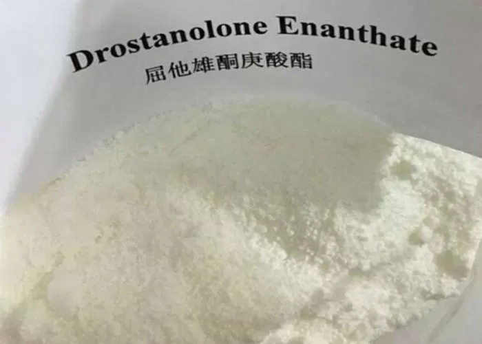 pl23104157-muscle_growth_white_powder_drostanolone_propionate_drostanolone_powders_masteron_prop